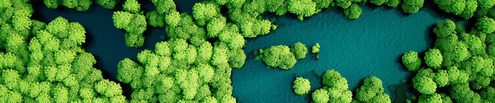 A lake with greens trees