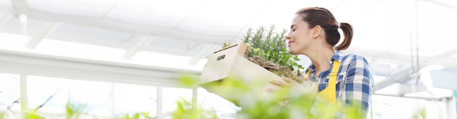 A woman smelling the plants