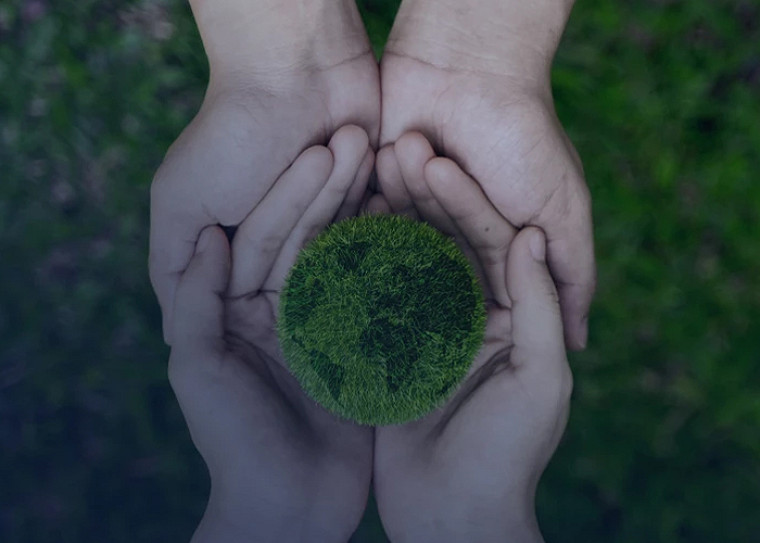 globe made of grass 