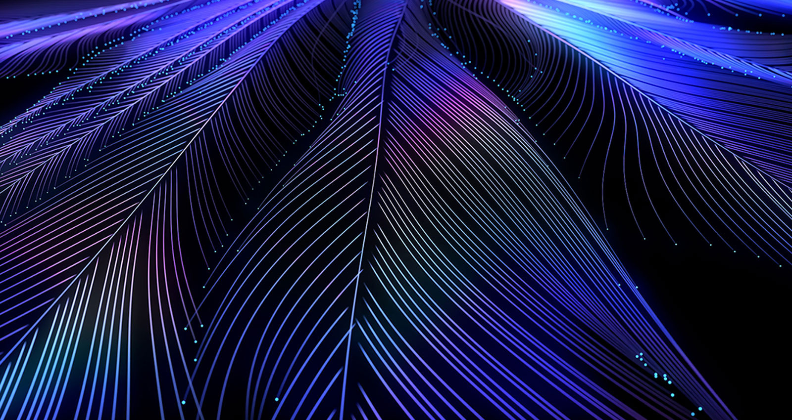 In focus image