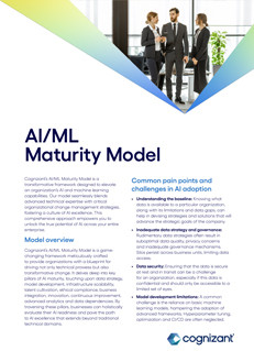 Agile Excellence Maturity Model