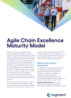 Agile Chain Excellence Maturity Model