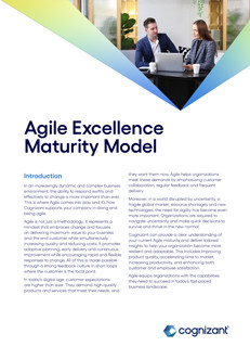 Agile Excellence Maturity Model