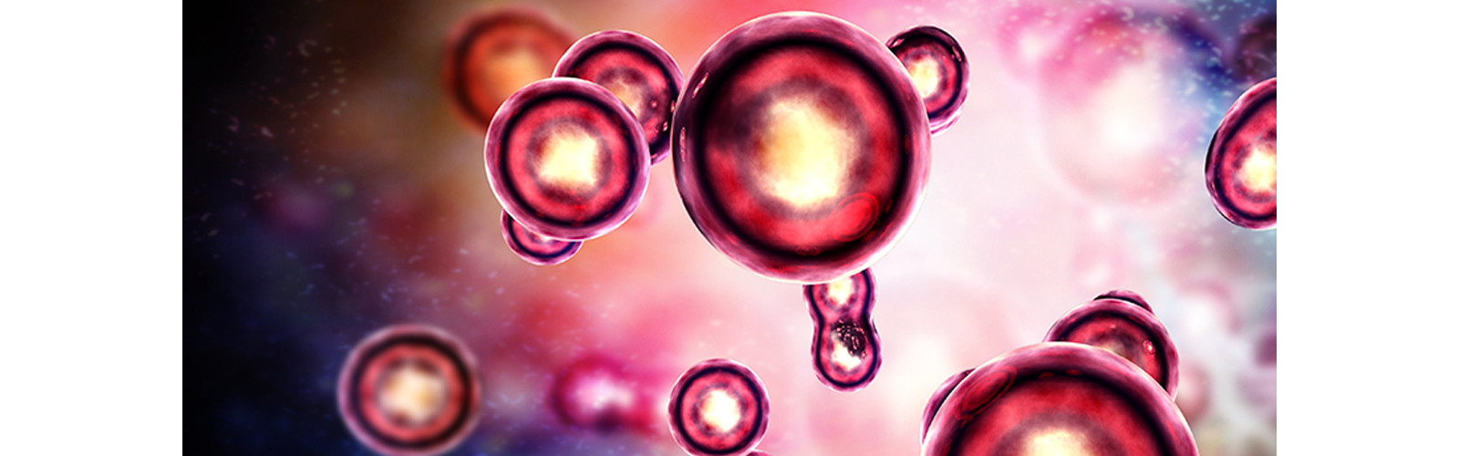 Cell and gene therapy flips life sciences manufacturing on its head