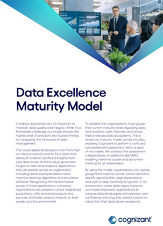 Data Excellence Maturity Model