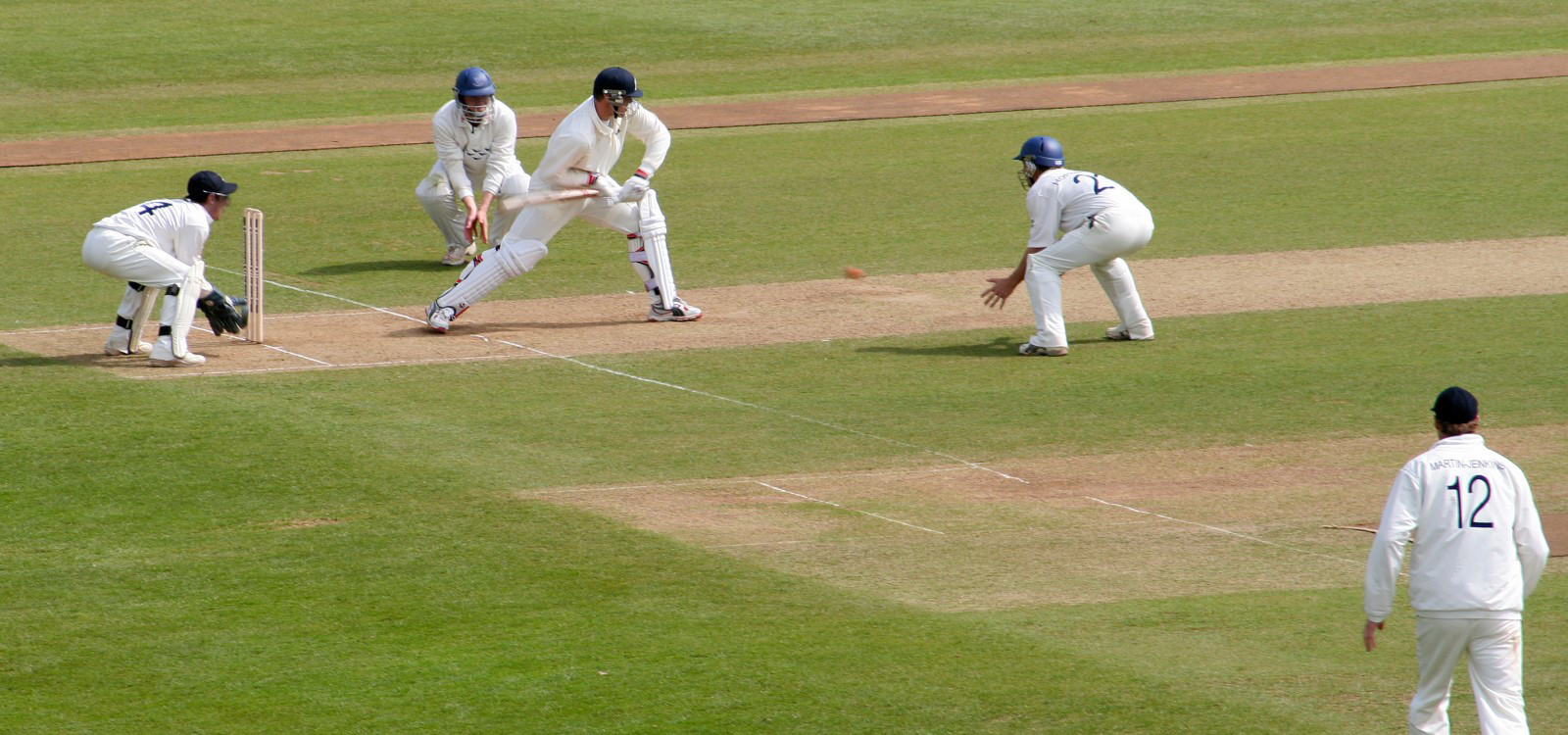 cricket players in field