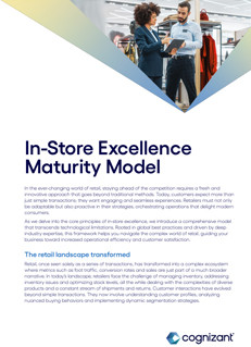 In-Store Excellence Maturity Model
