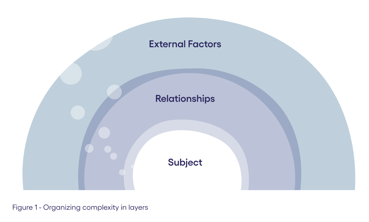 Figure 1 - organizing complexity in layers