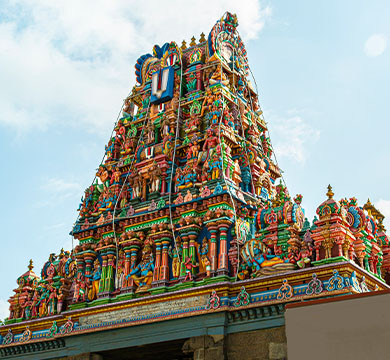 Parthasarathy Temple