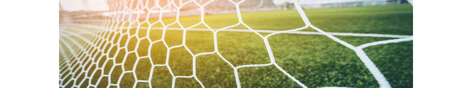 View of a soccer field through a net