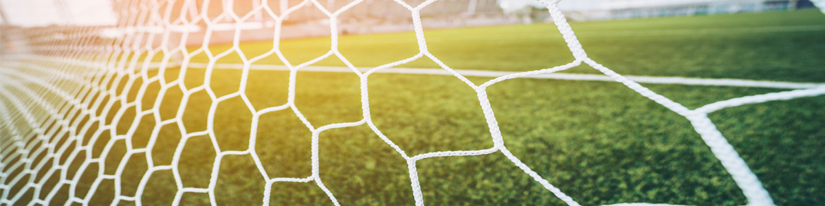 View of a soccer field through a net