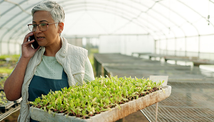 A woman holds a tray of young plants