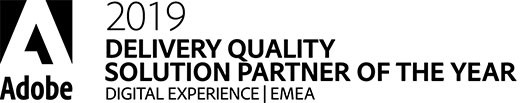 2019 Delivery Quality Solution Partner des Jahres