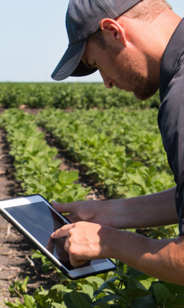 associates working outdoors on tablet