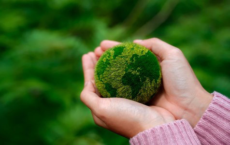 Un par de manos sosteniendo una pelota verde