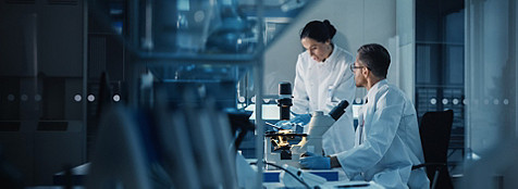 people working in lab