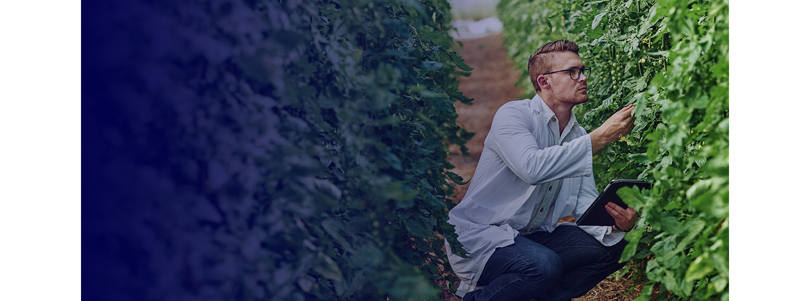 A researcher in a lab coat checking out plants