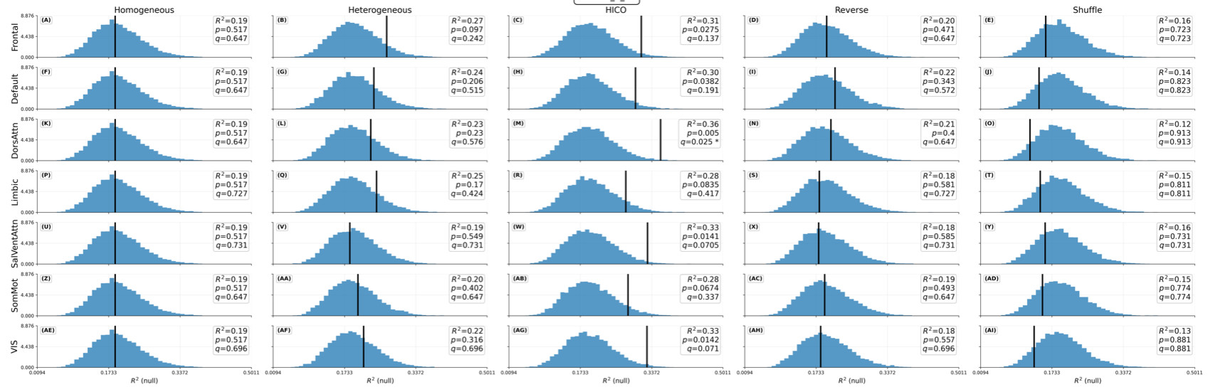 brain modeling graphs