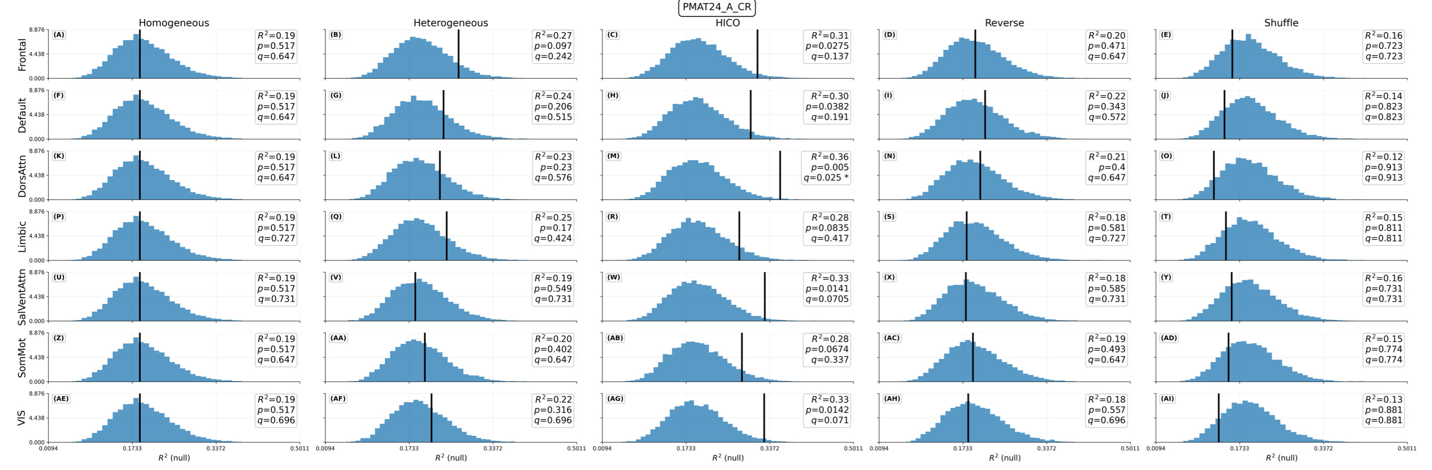 Brain stats repeated