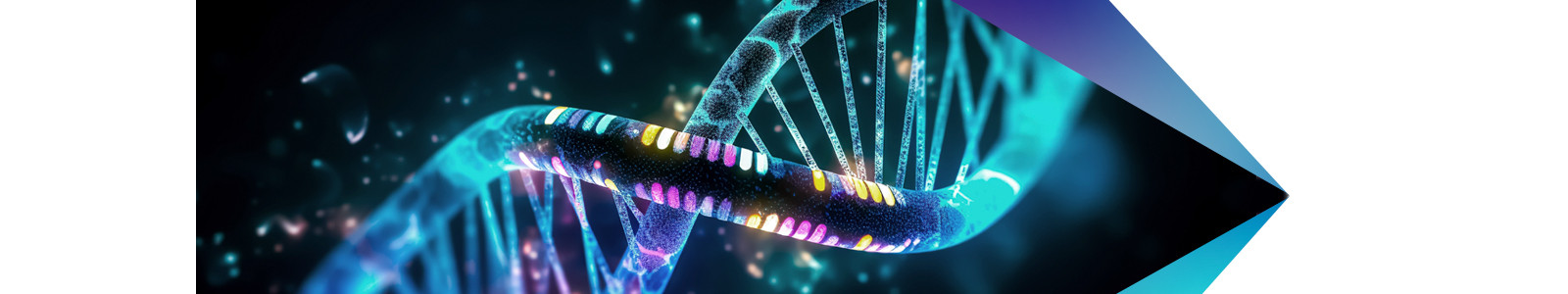 image of DNA strand