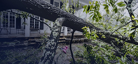 Arbre brisé tombé devant une maison