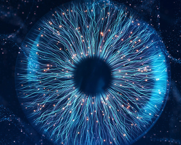 Digital eye AI vision network