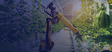En robotmaskin som arbetar på matväxter inomhus utan mänskligt ingripande