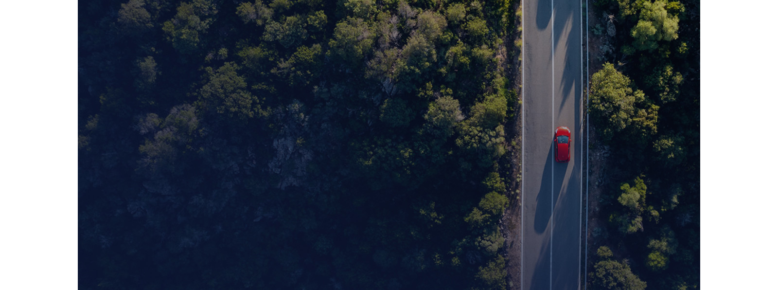 A bird's eye view of an electric car going through a road between a forest