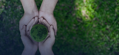 Two pairs of hands, one pair inside the other, holding grass