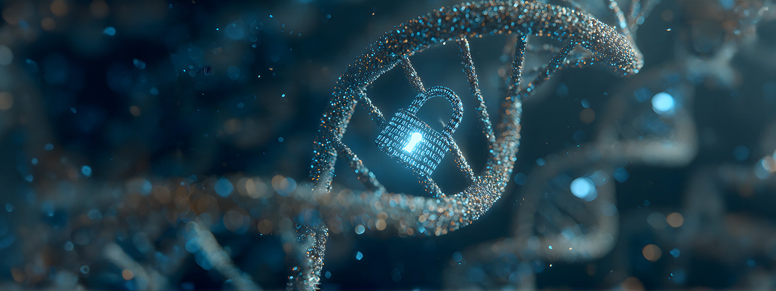 Two men working on solar panels