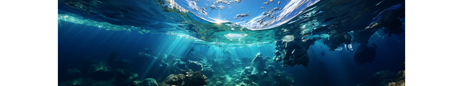 Underwater view of ocean