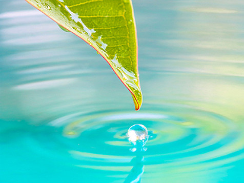 agua cayendo de una hoja en un lago