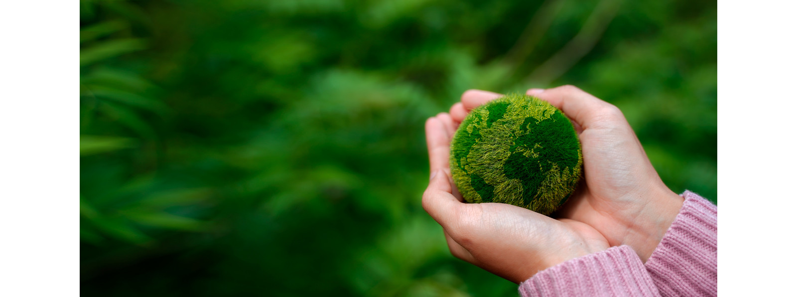 Women hands holding earth on green background.