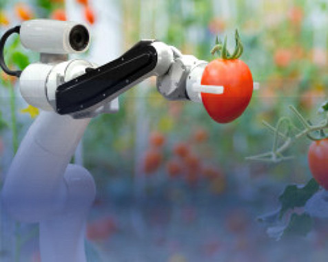 how-technology-will-feed-the-future