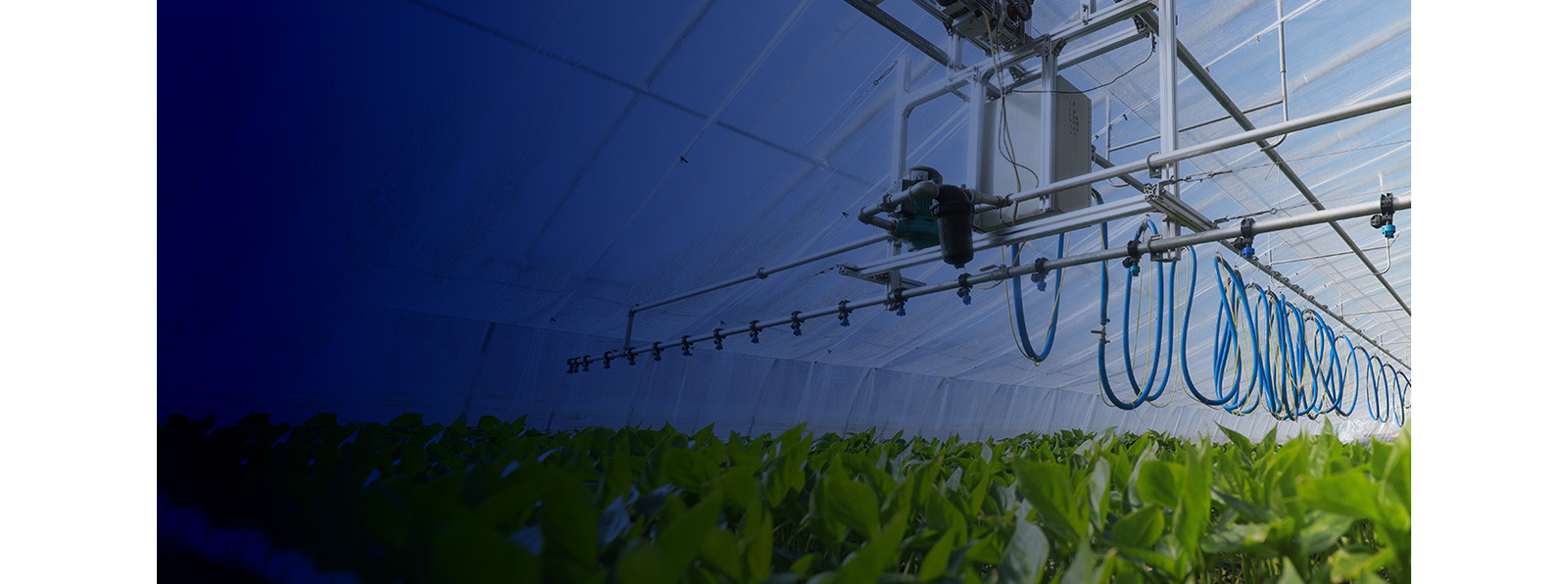 A photo of automated indoor farming