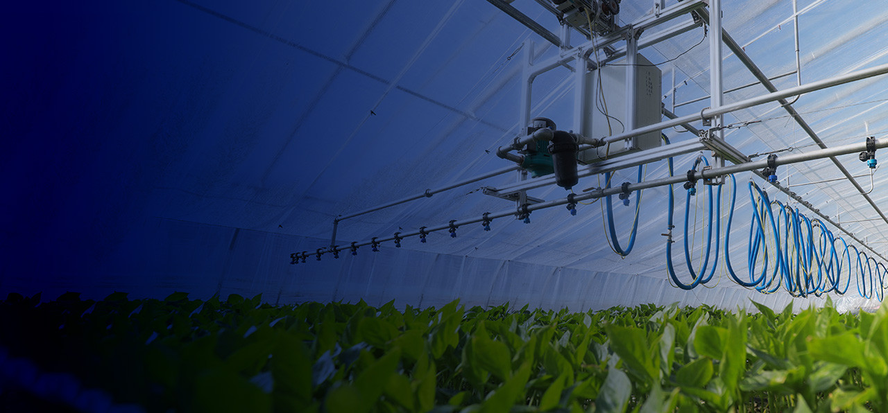 A photo of automated indoor farming
