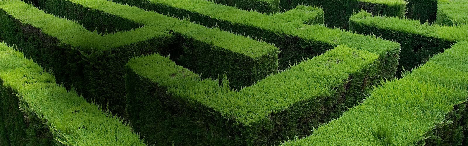gräs mark