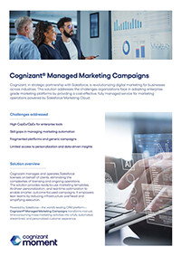 Flyer showing managed marketing campaign services, with charts and digital analytics visuals