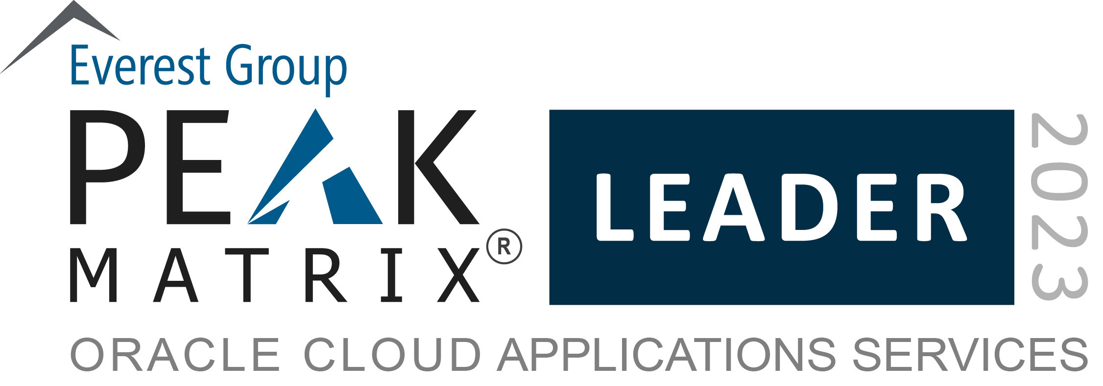 PEAK Matrix Oracle Cloud Application Services image