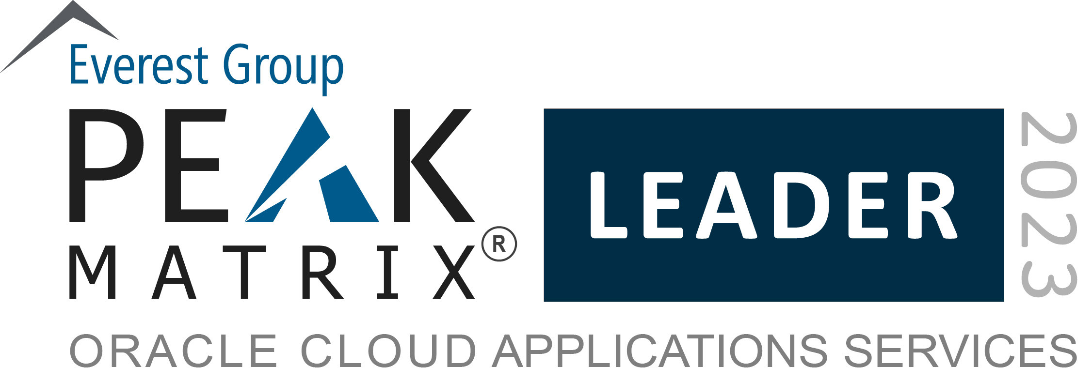 Imagen del PEAK Matrix Oracle cloud application service