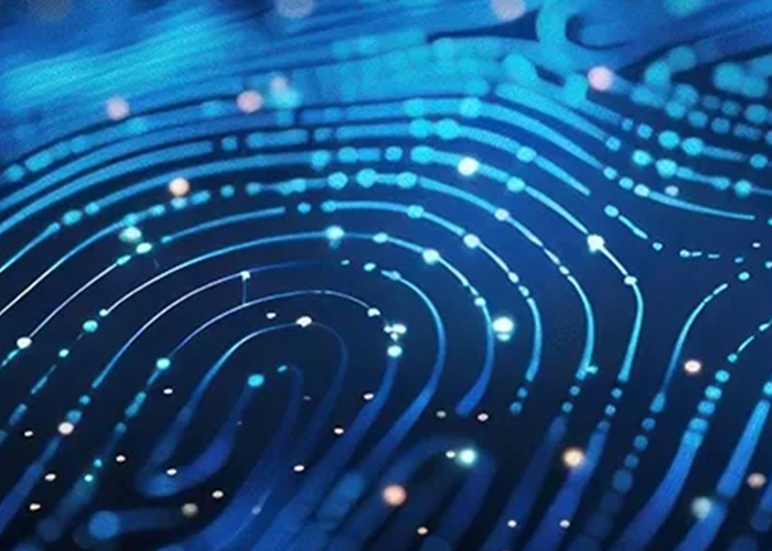 An abstract image of blue digital finger print like design