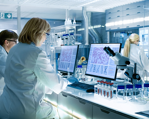 Técnicos que trabajan con un microscopio y monitores en laboratorio. 