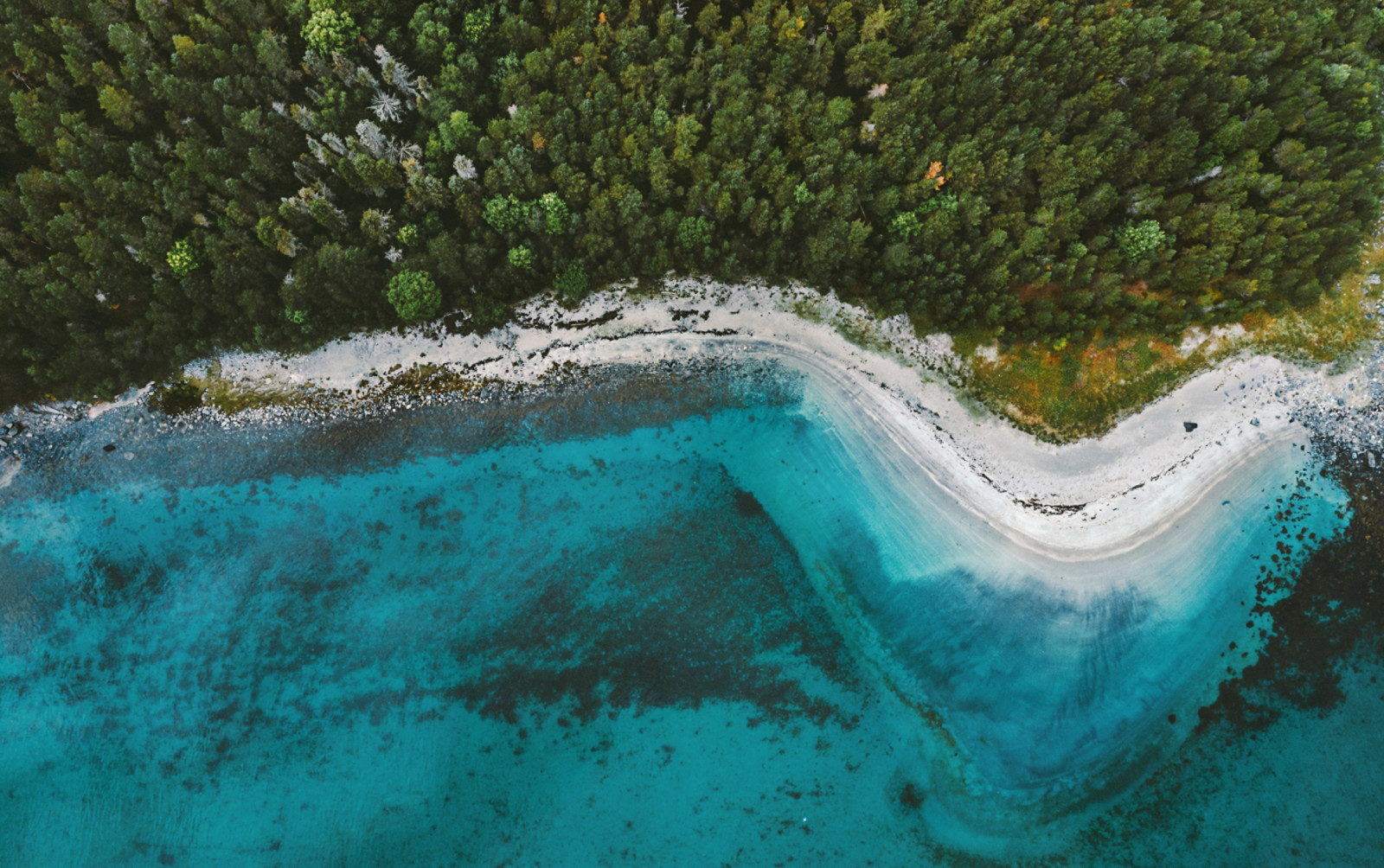 Aerial view ocean sandy beach and coniferous forest drone landscape in Norway above trees and blue sea water scandinavian nature wilderness top down scenery ; Shutterstock ID 1737327275; purchase_order: -; job: -; client: -; other: -