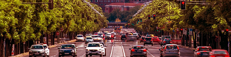 cale con coches circualdno y a los lados árboles