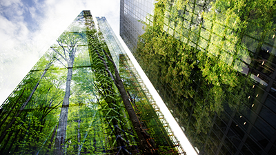 Gratte-ciel dont les parois de verre reflètent les arbres qui l'entourent