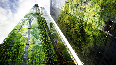 Skyscrapers with glass walls reflecting trees that are around it