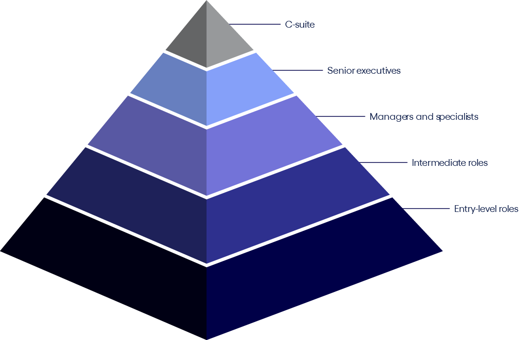 Pyramid image