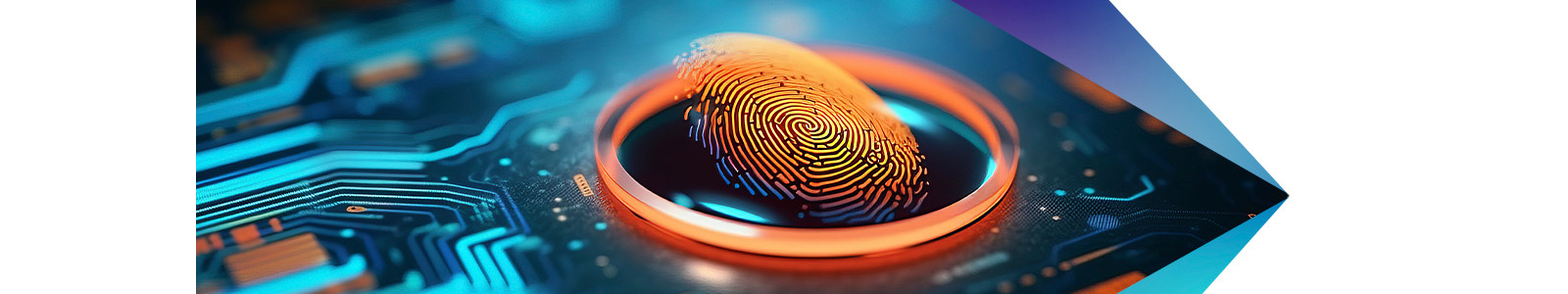 Graphic fingerprint data