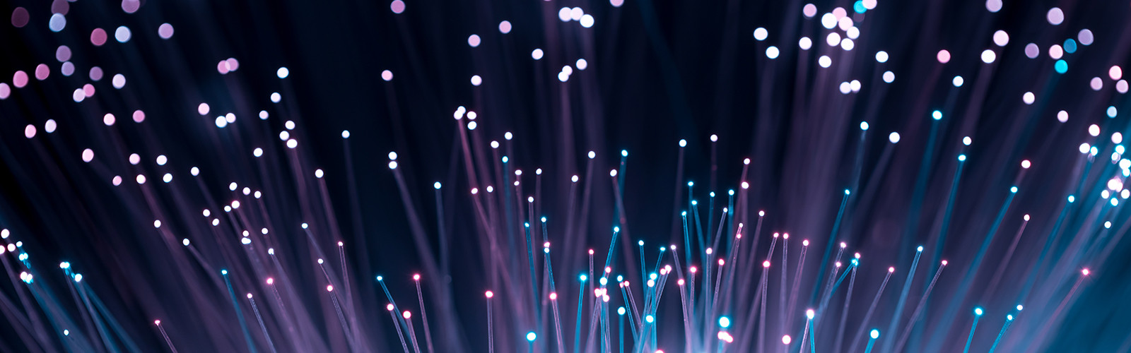 Optical fibres pointing upwards lit in white color against a black color 