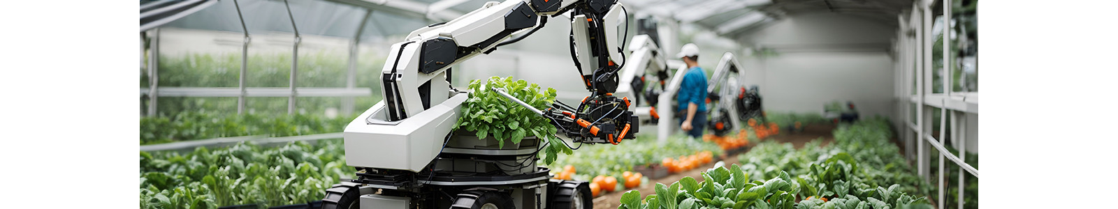 A machine collecting plants